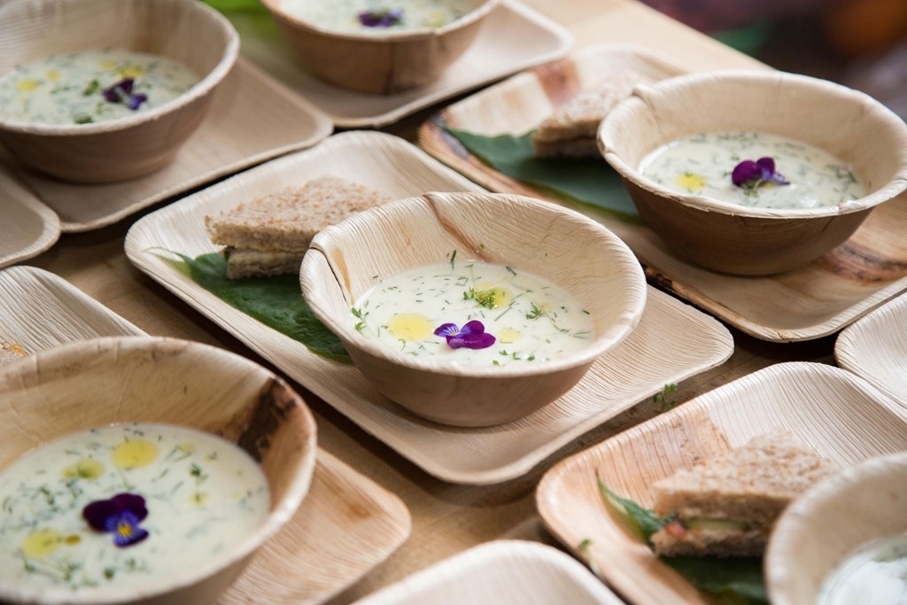 palm-leaf-plates-buy-online-natureloc3